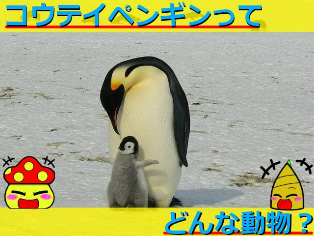 Thumbnail of post image 145